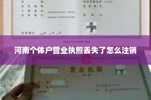 河南个体户营业执照丢失了怎么注销