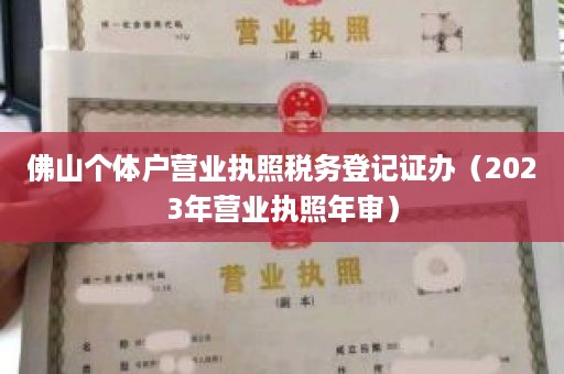佛山个体户营业执照税务登记证办（2023年营业执照年审）