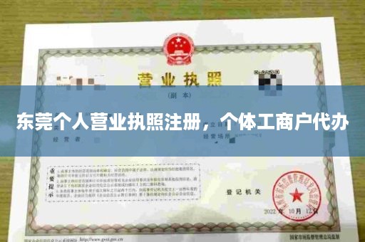 东莞个人营业执照注册，个体工商户代办