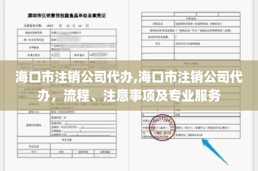 海口市注销公司代办,海口市注销公司代办，流程、注意事项及专业服务