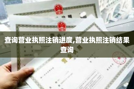 查询营业执照注销进度,营业执照注销结果查询