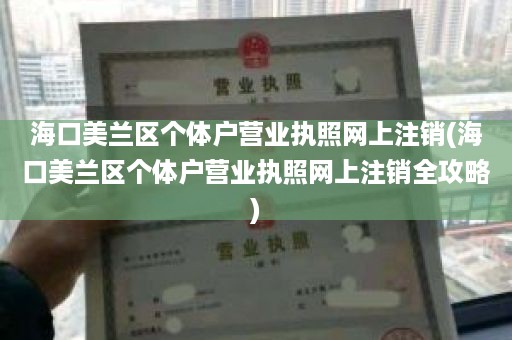 海口美兰区个体户营业执照网上注销(海口美兰区个体户营业执照网上注销全攻略)