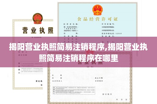 揭阳营业执照简易注销程序,揭阳营业执照简易注销程序在哪里