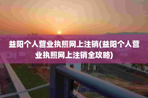 益阳个人营业执照网上注销(益阳个人营业执照网上注销全攻略)