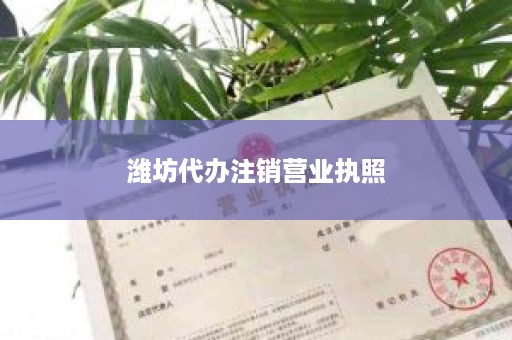 潍坊代办注销营业执照