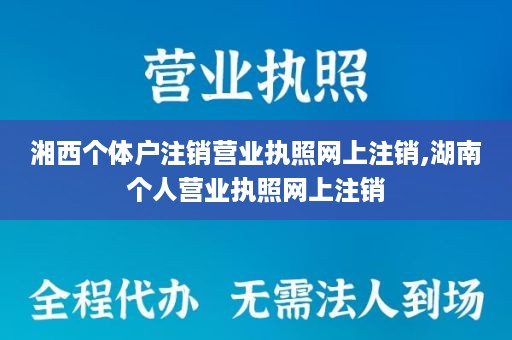 湘西个体户注销营业执照网上注销,湖南个人营业执照网上注销