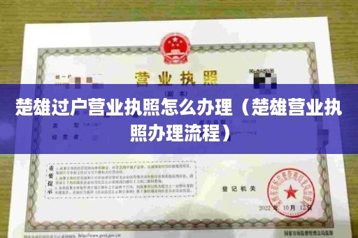 楚雄过户营业执照怎么办理（楚雄营业执照办理流程）