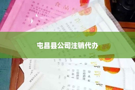 屯昌县公司注销代办