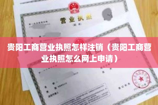 贵阳工商营业执照怎样注销（贵阳工商营业执照怎么网上申请）