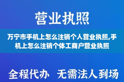 万宁市手机上怎么注销个人营业执照,手机上怎么注销个体工商户营业执照