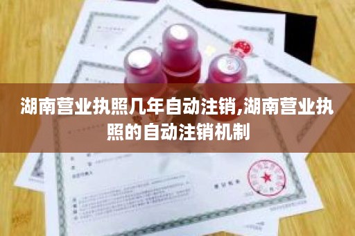 湖南营业执照几年自动注销,湖南营业执照的自动注销机制