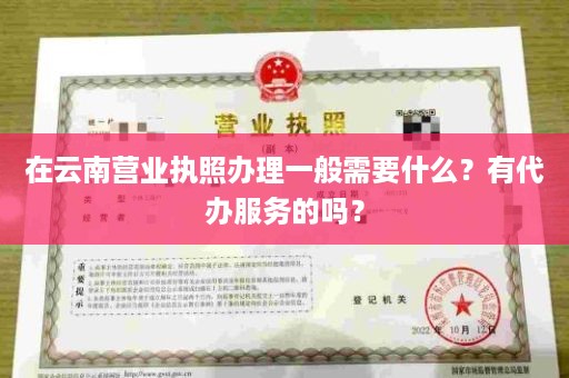 在云南营业执照办理一般需要什么？有代办服务的吗？