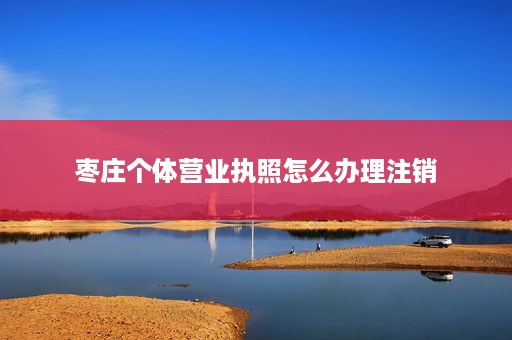 枣庄个体营业执照怎么办理注销