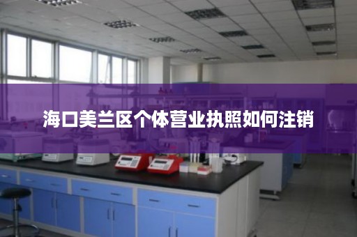 海口美兰区个体营业执照如何注销