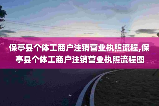 保亭县个体工商户注销营业执照流程,保亭县个体工商户注销营业执照流程图
