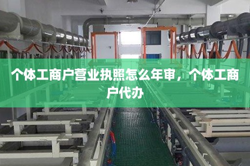 个体工商户营业执照怎么年审，个体工商户代办