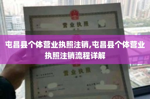 屯昌县个体营业执照注销,屯昌县个体营业执照注销流程详解