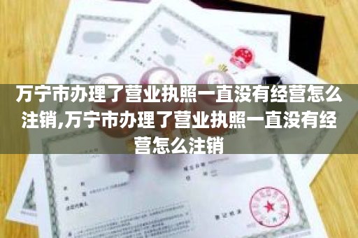万宁市办理了营业执照一直没有经营怎么注销,万宁市办理了营业执照一直没有经营怎么注销