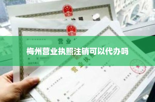 梅州营业执照注销可以代办吗