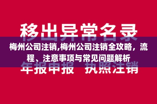 梅州公司注销,梅州公司注销全攻略，流程、注意事项与常见问题解析