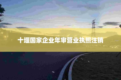 十堰国家企业年审营业执照注销