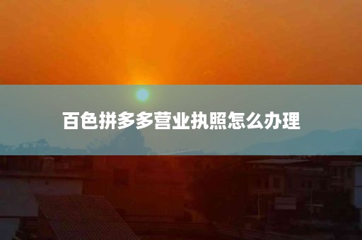 百色拼多多营业执照怎么办理