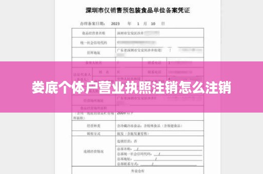 娄底个体户营业执照注销怎么注销