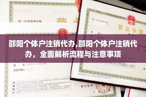邵阳个体户注销代办,邵阳个体户注销代办，全面解析流程与注意事项