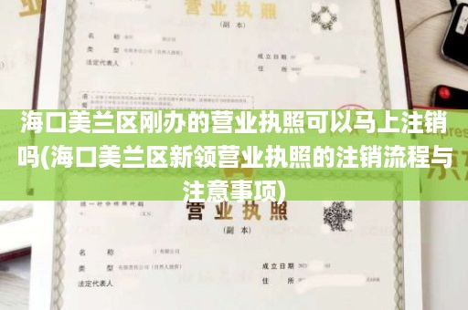 海口美兰区刚办的营业执照可以马上注销吗(海口美兰区新领营业执照的注销流程与注意事项)
