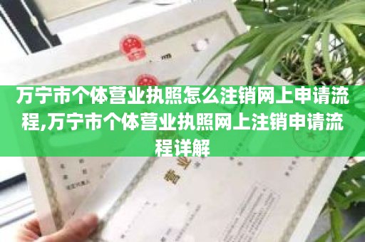 万宁市个体营业执照怎么注销网上申请流程,万宁市个体营业执照网上注销申请流程详解