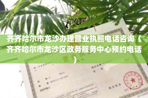 齐齐哈尔市龙沙办理营业执照电话咨询（齐齐哈尔市龙沙区政务服务中心预约电话）