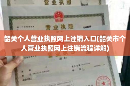 韶关个人营业执照网上注销入口(韶关市个人营业执照网上注销流程详解)