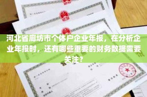 河北省廊坊市个体户企业年报，在分析企业年报时，还有哪些重要的财务数据需要关注？
