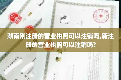 湖南刚注册的营业执照可以注销吗,新注册的营业执照可以注销吗?