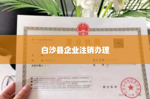 白沙县企业注销办理