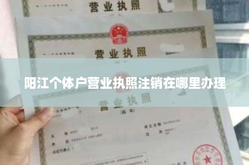 阳江个体户营业执照注销在哪里办理