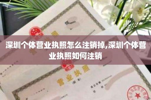 深圳个体营业执照怎么注销掉,深圳个体营业执照如何注销