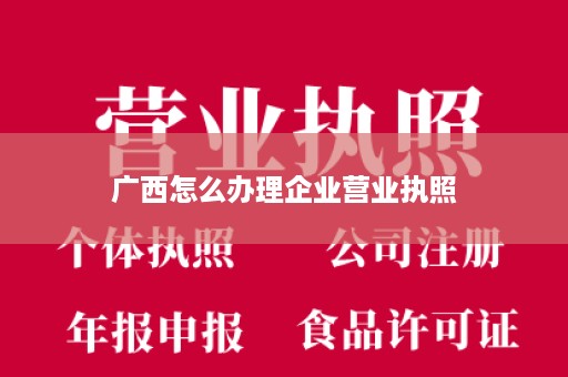 广西怎么办理企业营业执照