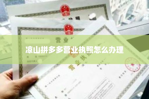 凉山拼多多营业执照怎么办理
