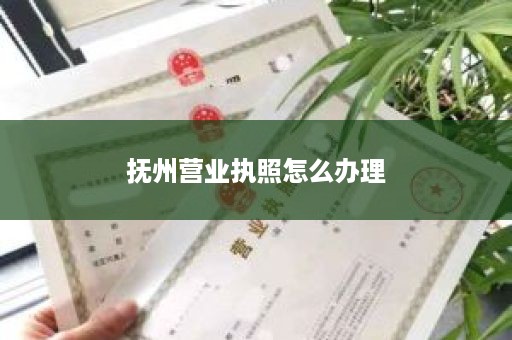 抚州营业执照怎么办理