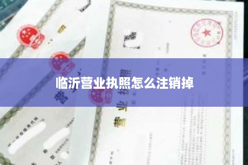 临沂营业执照怎么注销掉