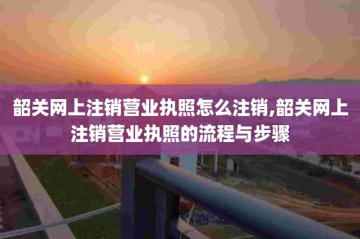 韶关网上注销营业执照怎么注销,韶关网上注销营业执照的流程与步骤