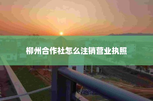 柳州合作社怎么注销营业执照