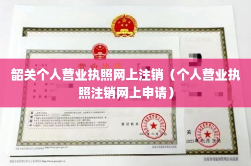 韶关个人营业执照网上注销（个人营业执照注销网上申请）
