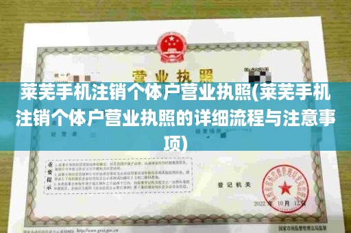 莱芜手机注销个体户营业执照(莱芜手机注销个体户营业执照的详细流程与注意事项)