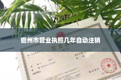 儋州市营业执照几年自动注销