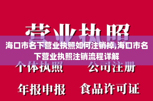 海口市名下营业执照如何注销掉,海口市名下营业执照注销流程详解