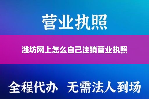 潍坊网上怎么自己注销营业执照