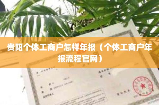 贵阳个体工商户怎样年报（个体工商户年报流程官网）