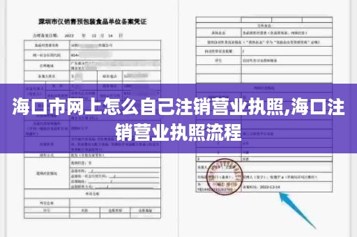海口市网上怎么自己注销营业执照,海口注销营业执照流程